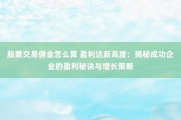 股票交易佣金怎么算 盈利达新高度：揭秘成功企业的盈利秘诀与增长策略