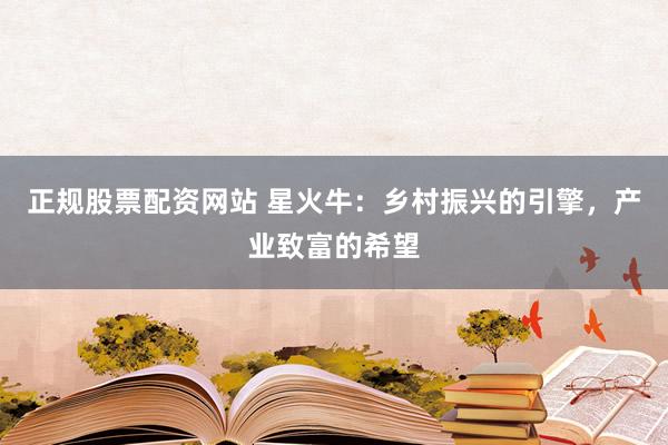 正规股票配资网站 星火牛：乡村振兴的引擎，产业致富的希望