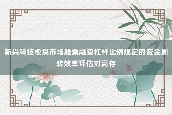 新兴科技板块市场股票融资杠杆比例规定的资金周转效率评估对高存