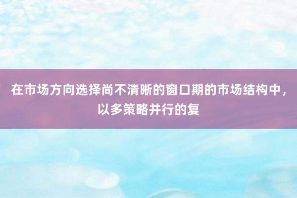 在市场方向选择尚不清晰的窗口期的市场结构中，以多策略并行的复