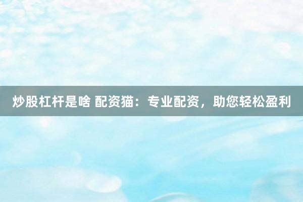 炒股杠杆是啥 配资猫：专业配资，助您轻松盈利