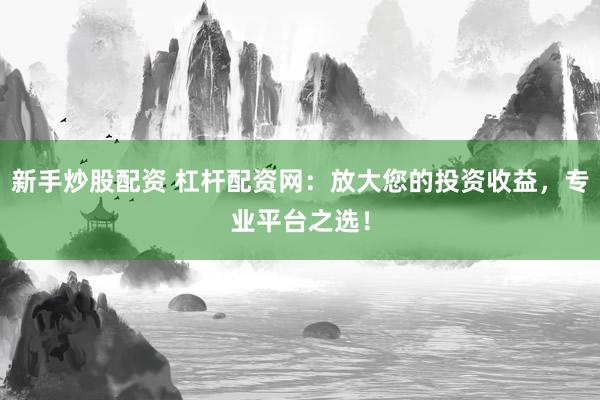 新手炒股配资 杠杆配资网：放大您的投资收益，专业平台之选！
