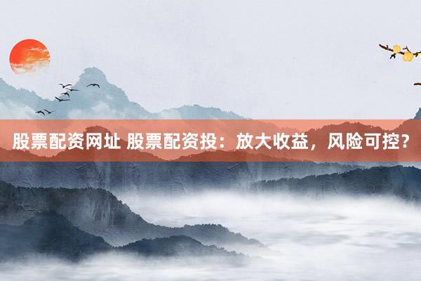 股票配资网址 股票配资投：放大收益，风险可控？