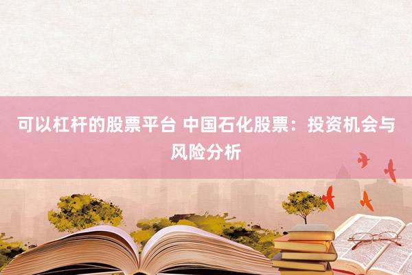 可以杠杆的股票平台 中国石化股票：投资机会与风险分析